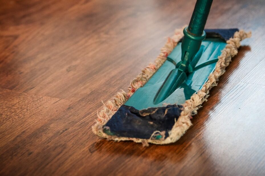 House cleaning service MI