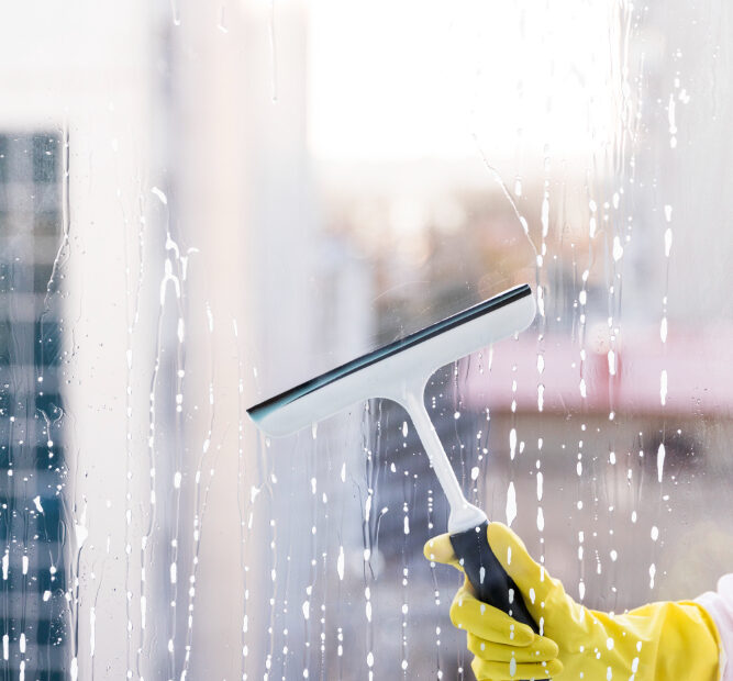 Window cleaning in Michigan