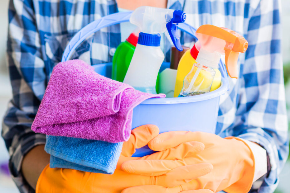 house cleaning MI