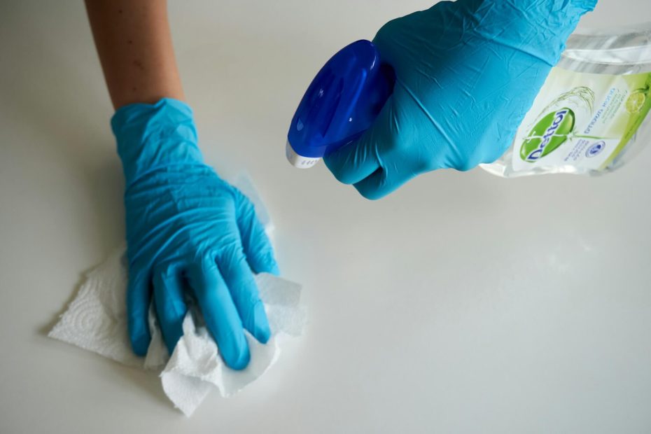 eco friendly house cleaning